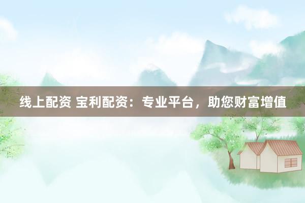 线上配资 宝利配资：专业平台，助您财富增值