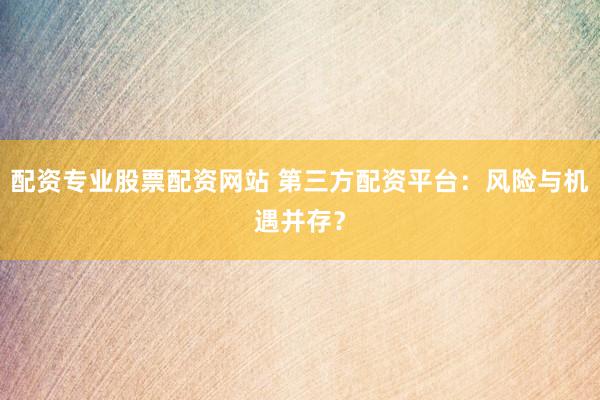 配资专业股票配资网站 第三方配资平台：风险与机遇并存？
