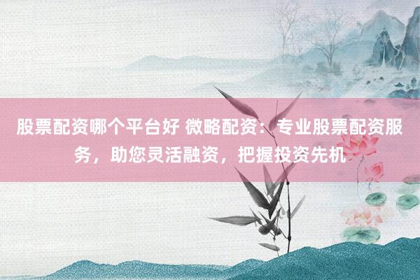 股票配资哪个平台好 微略配资：专业股票配资服务，助您灵活融资，把握投资先机