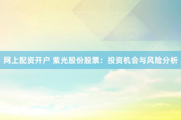 网上配资开户 紫光股份股票：投资机会与风险分析