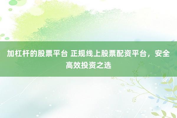 加杠杆的股票平台 正规线上股票配资平台，安全高效投资之选