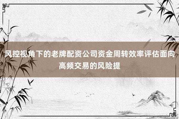 风控视角下的老牌配资公司资金周转效率评估面向高频交易的风险提