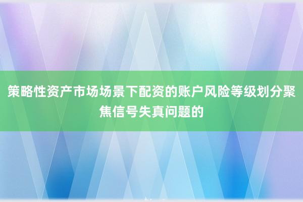 策略性资产市场场景下配资的账户风险等级划分聚焦信号失真问题的