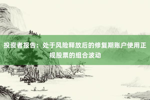 投资者报告：处于风险释放后的修复期账户使用正规股票的组合波动