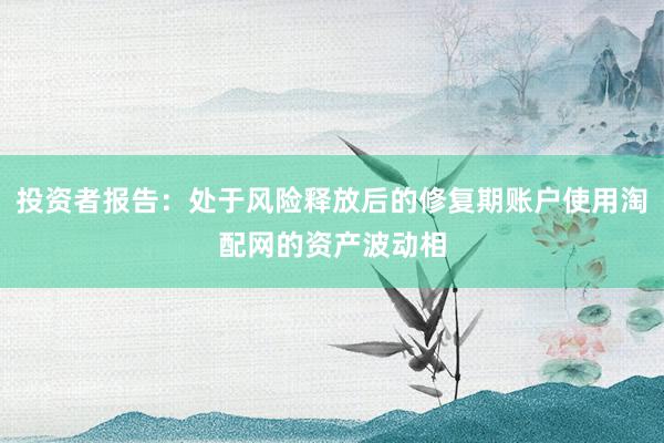 投资者报告：处于风险释放后的修复期账户使用淘配网的资产波动相