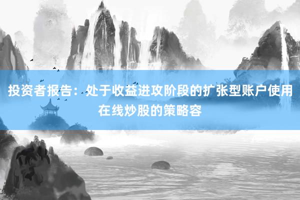 投资者报告：处于收益进攻阶段的扩张型账户使用在线炒股的策略容