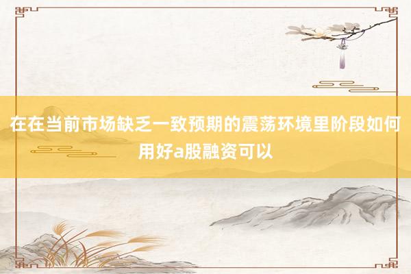 在在当前市场缺乏一致预期的震荡环境里阶段如何用好a股融资可以