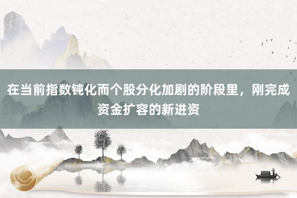 在当前指数钝化而个股分化加剧的阶段里，刚完成资金扩容的新进资