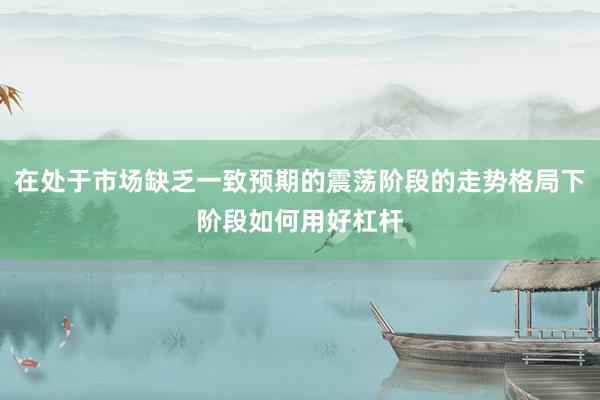 在处于市场缺乏一致预期的震荡阶段的走势格局下阶段如何用好杠杆