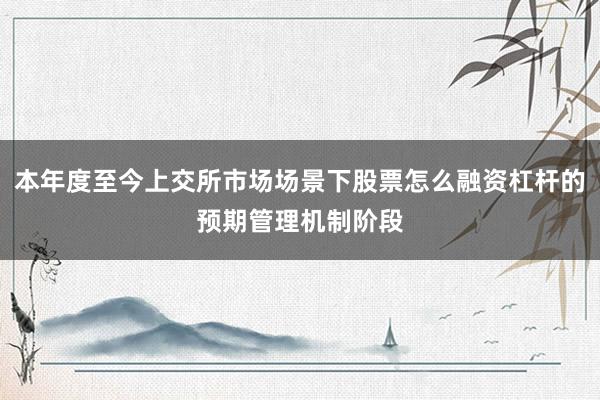 本年度至今上交所市场场景下股票怎么融资杠杆的预期管理机制阶段